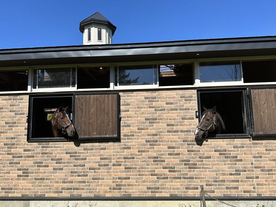 경마) / 말딸) 트랜센드의 영압이..!_2.jpg