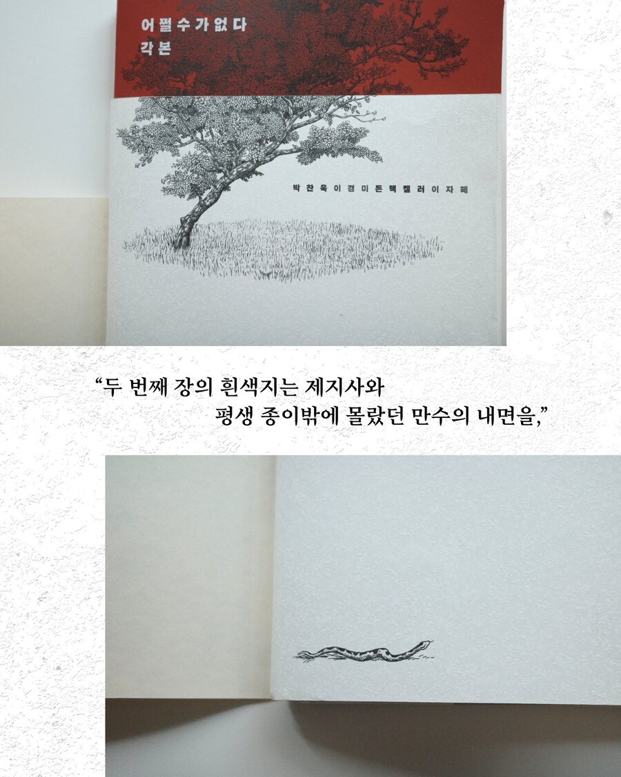 박찬욱 - 어쩔수가 없다 각본집 (10/13) 표지_6.jpg