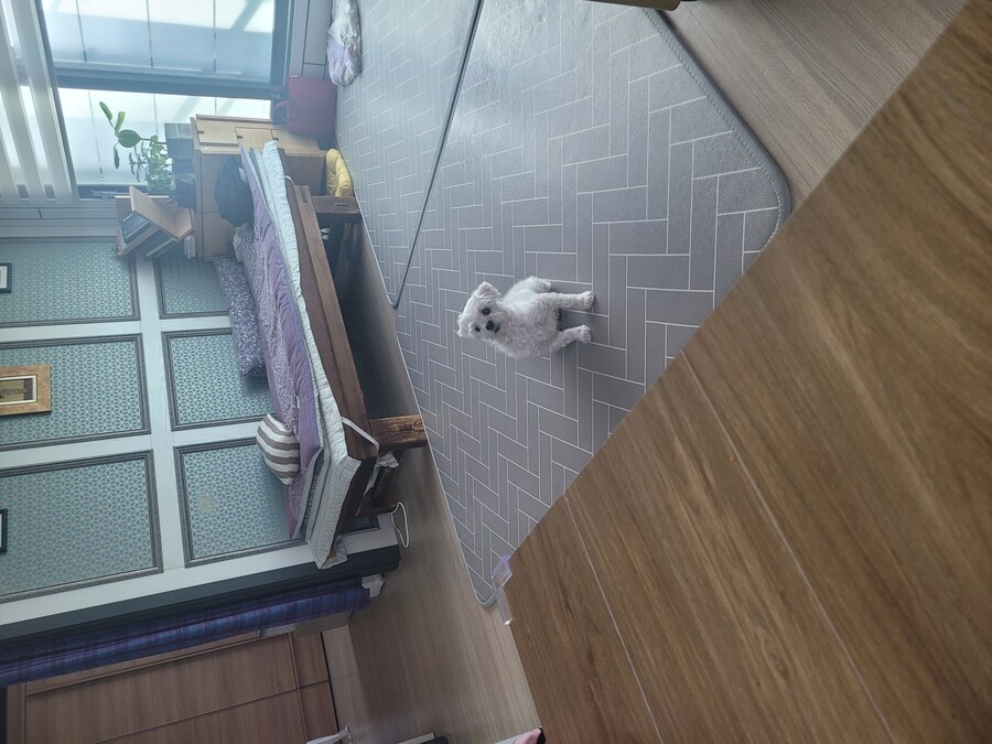 냐루비만 보여주니까 챗창이 무서워서 올리는 멈뭄미 사진_3.jpg