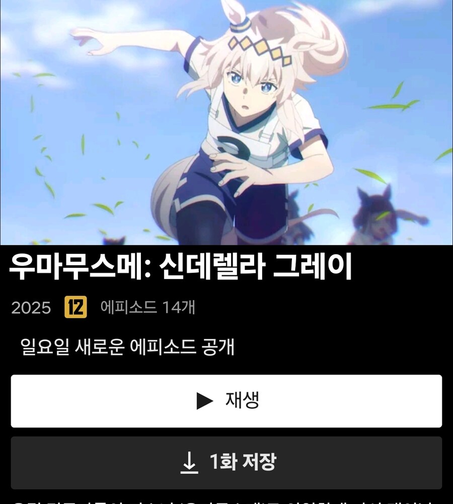 우마무스메 신데렐라 그레이) 2쿨 넷플릭스 공개결정_1.jpg