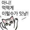 [스압] 구마모토 9박 10일 여행기 (9)_95.png