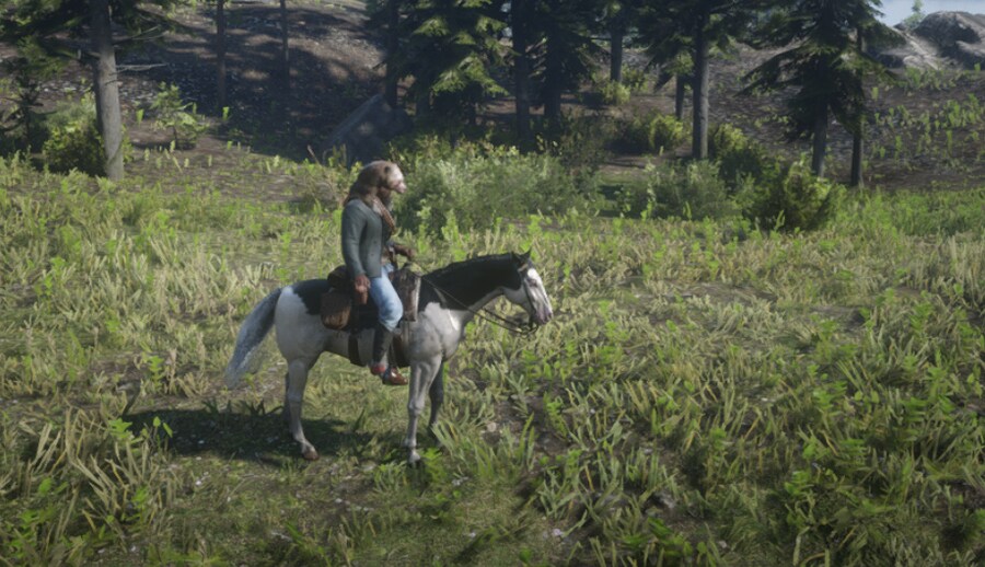 퀘스트 하러 가다가 발견된 말 한마리_1.png