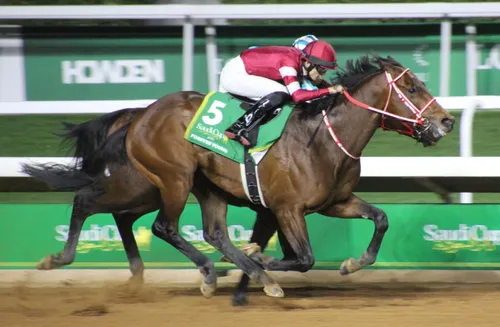 경마) 효도를 존나 하는데 불효가 되고 있는 경주마_1.webp