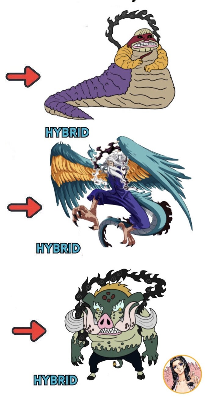 원피스 오로성 인수형 추측관련 터진거_1.jpg