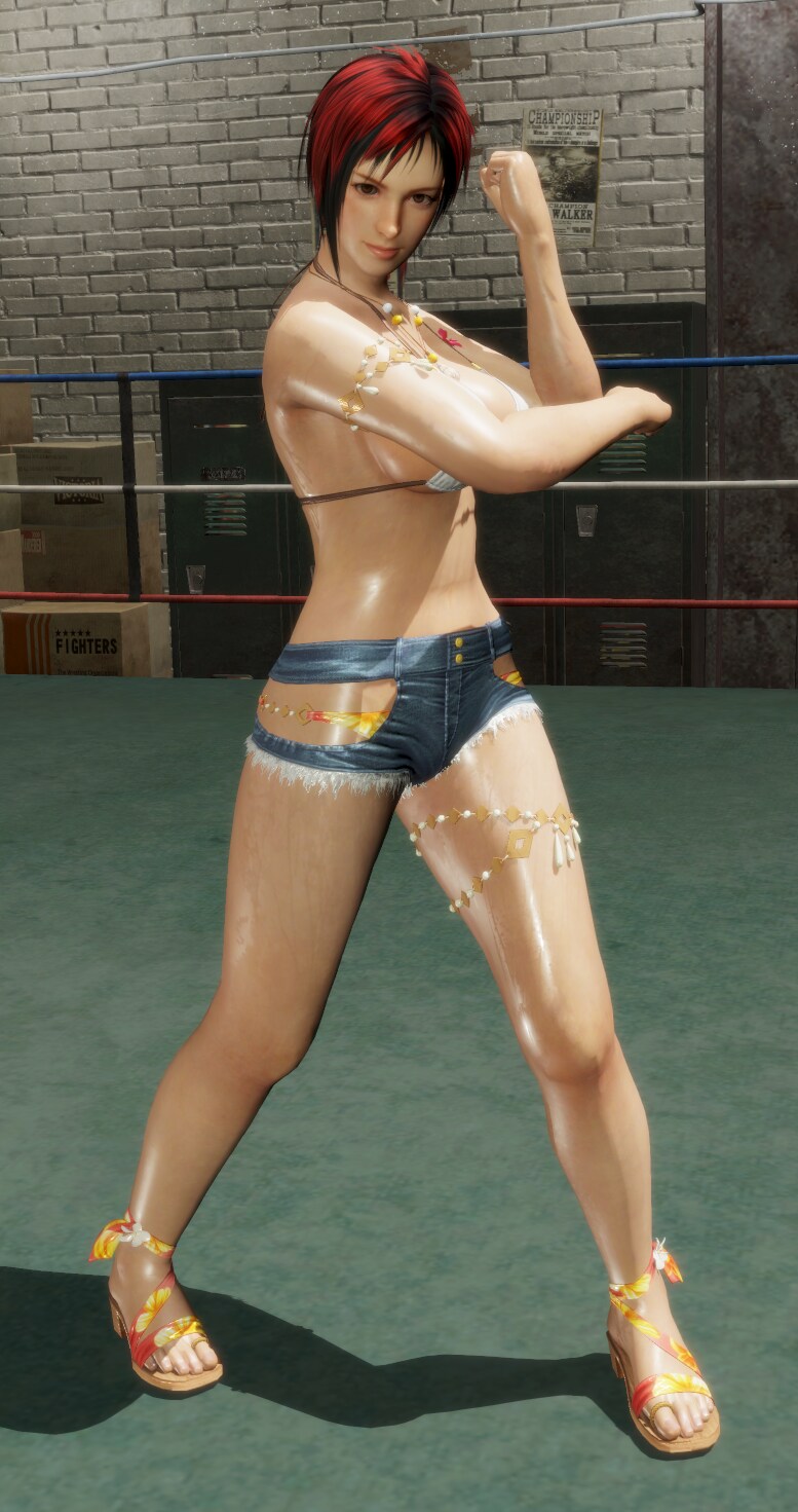 DEAD OR ALIVE 6_1.png
