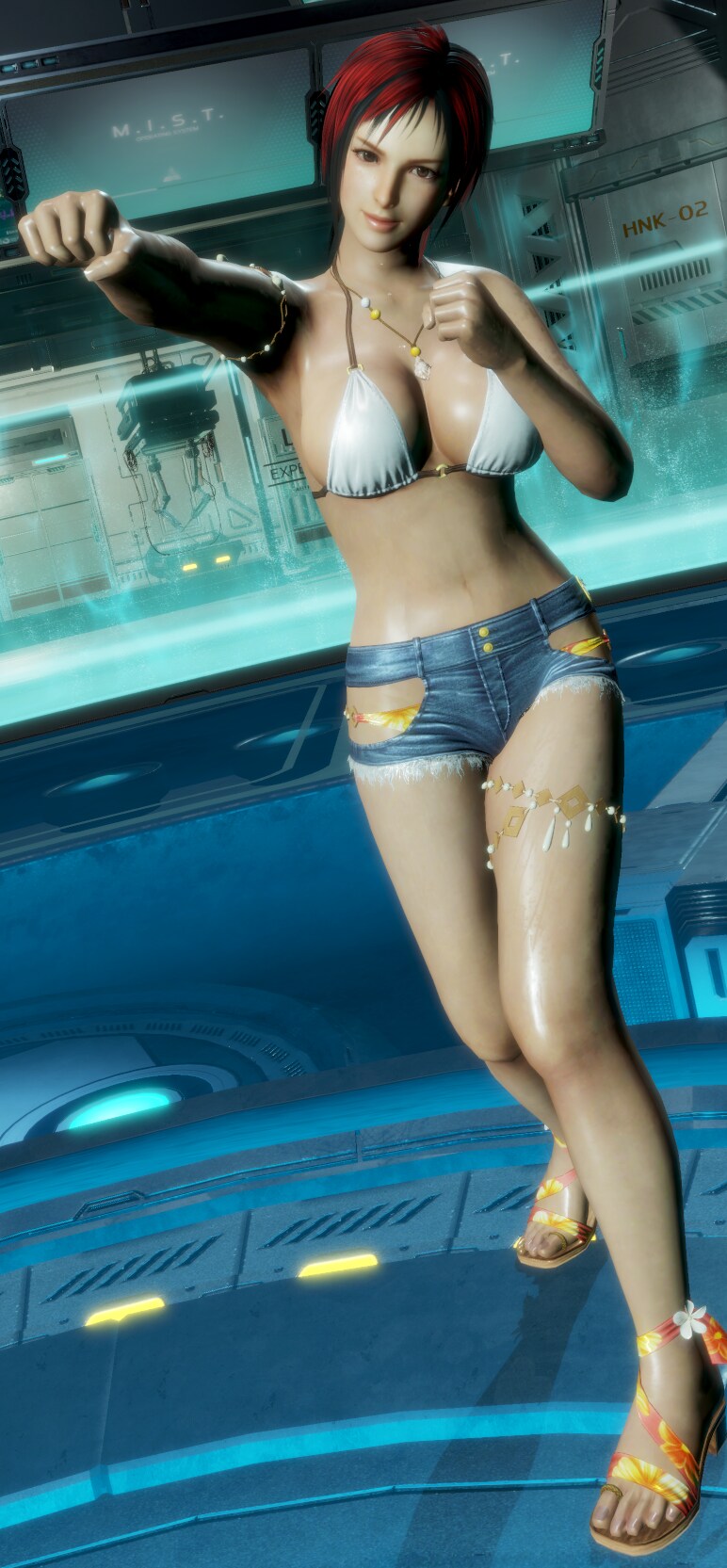 DEAD OR ALIVE 6_2.png
