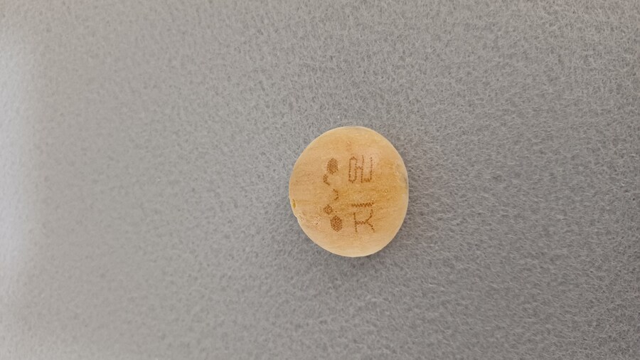 칸쵸 먹고 있는데_1.jpg