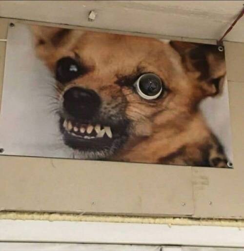 완벽하게 위장한 CCTV.jpg_1.jpg