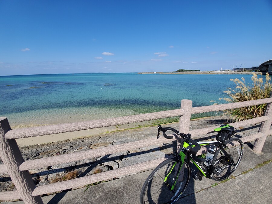 소금향이 나니 바다군요 끄덕_1.jpg