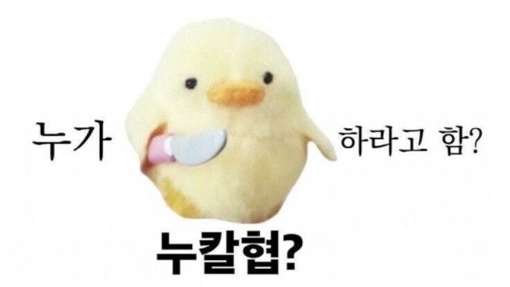360만 구독자 포기해야 하나…슈카 '일베 논란'에 유튜브 활동 회의_1.jpg