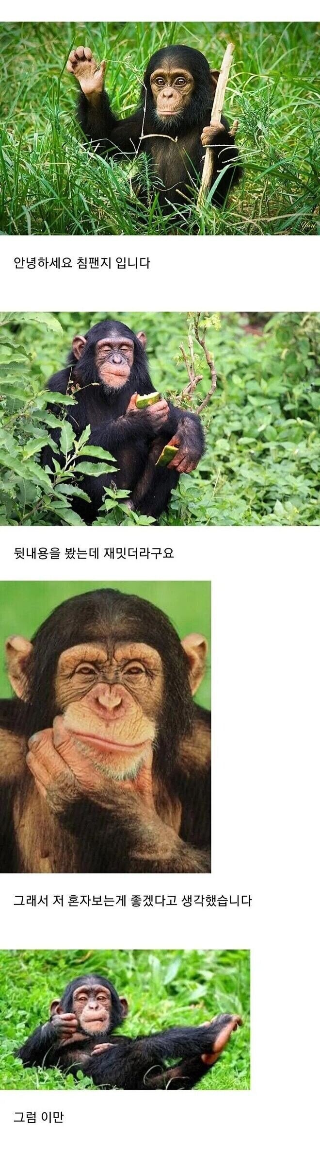 원숭이 아저씨의 대모험_70.jpg
