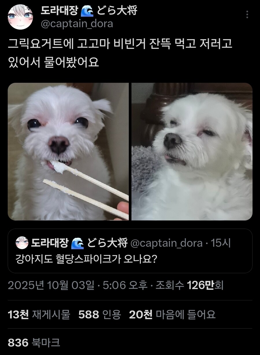 버튜버) 도라대장 근황_1.jpg