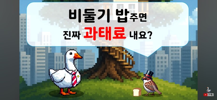 비둘기 밥주면 진짜 과태료를 내는가?_1.jpg