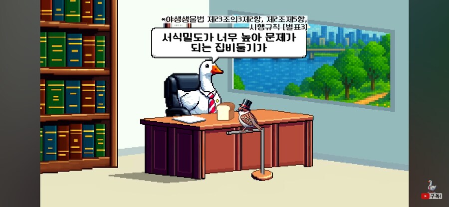 비둘기 밥주면 진짜 과태료를 내는가?_7.jpg