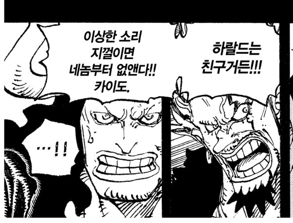 원피스 폐급 신병 카이도 특_5.jpg