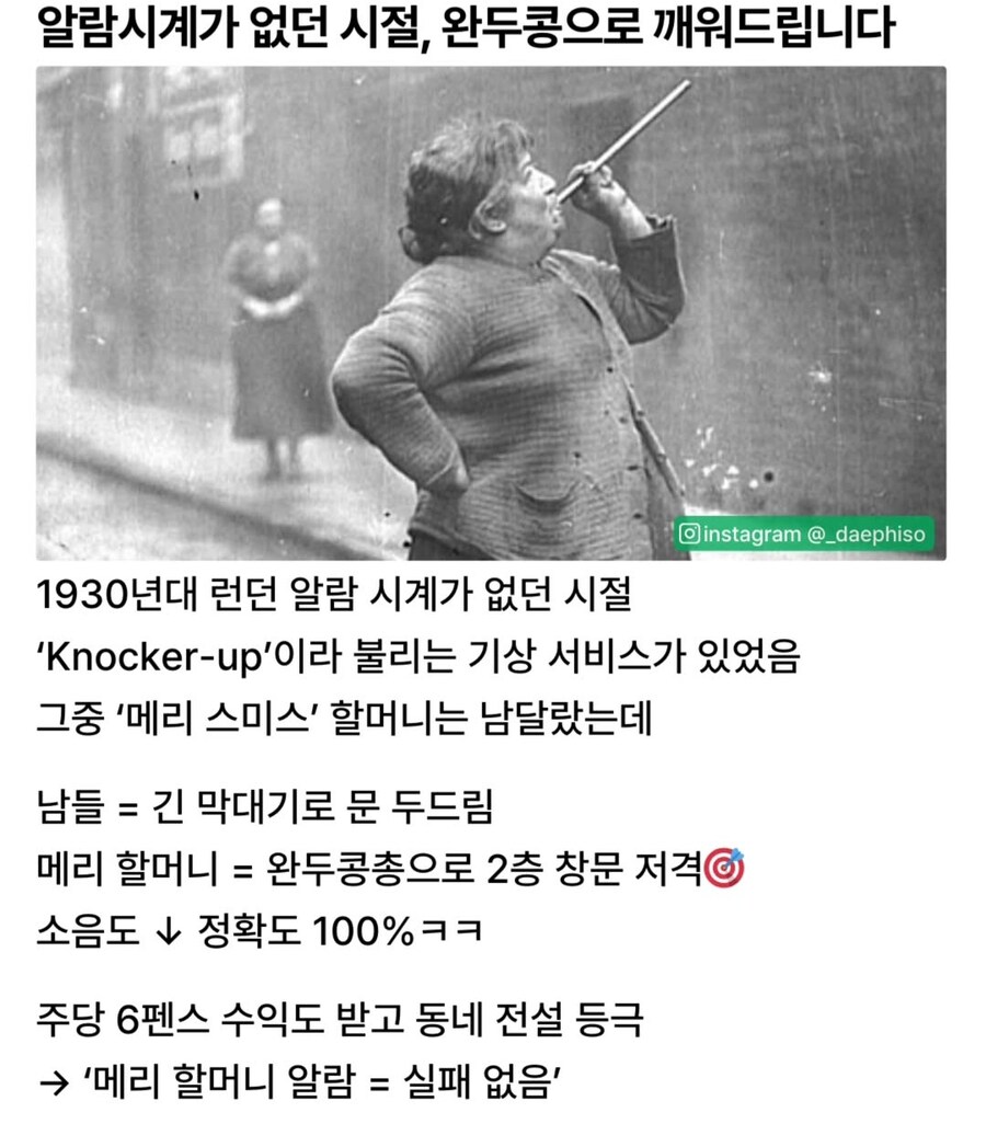 알람 시계가 없던 시절, 완두콩으로 깨워 드립니다.jpg_1.jpg