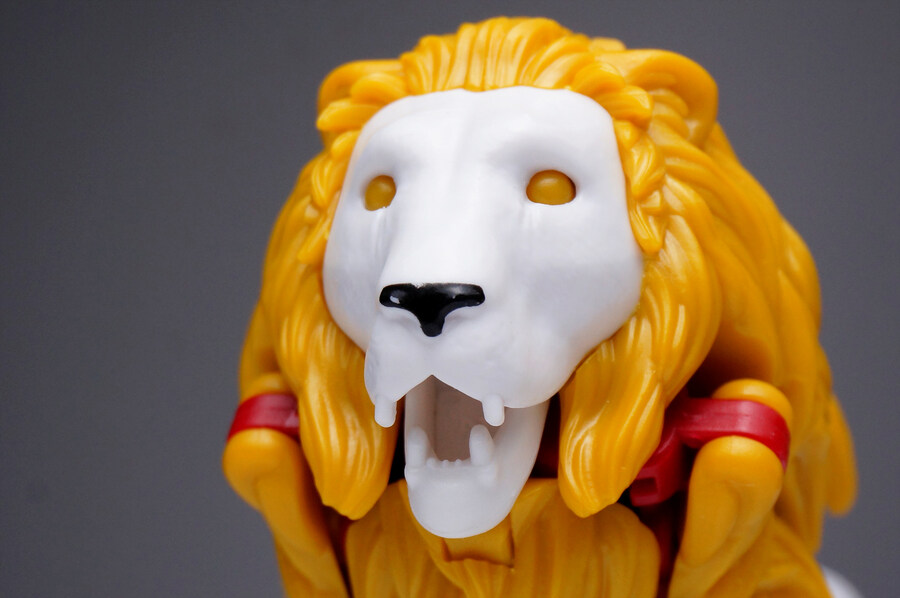 트랜스포머 40주년 셀렉션 라이오 콘보이_5.jpg