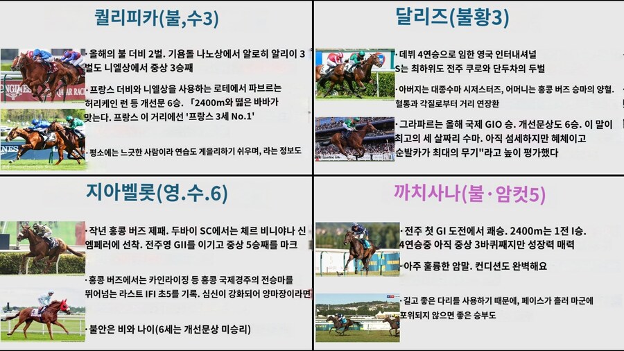 말딸,경마) 개선문상 게이트 순서 와 말 소개 파파고 번역_4.jpg