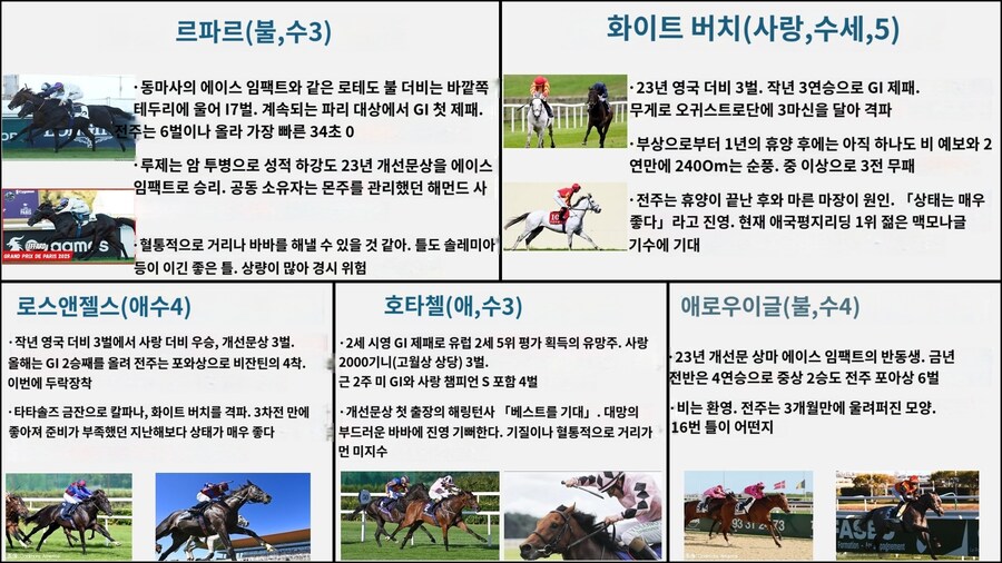 말딸,경마) 개선문상 게이트 순서 와 말 소개 파파고 번역_5.jpg