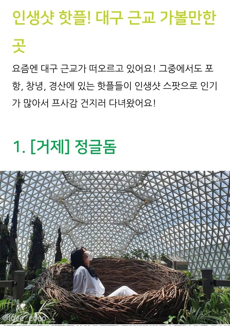 "대구 근교"라매요 ㅅㅂ_1.jpg