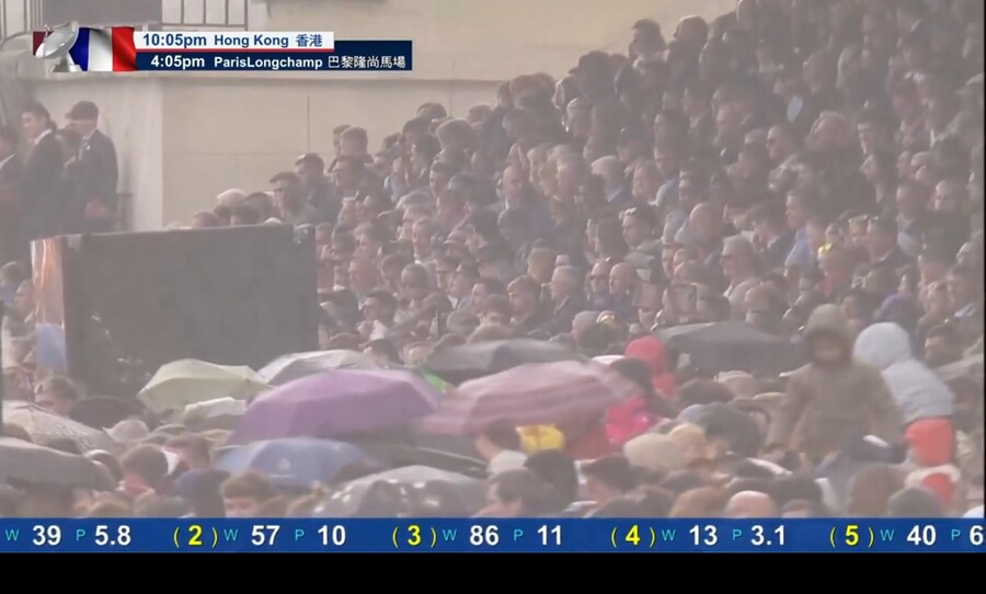 말딸, 경마) 누가 템전을 시작했나_1.jpg