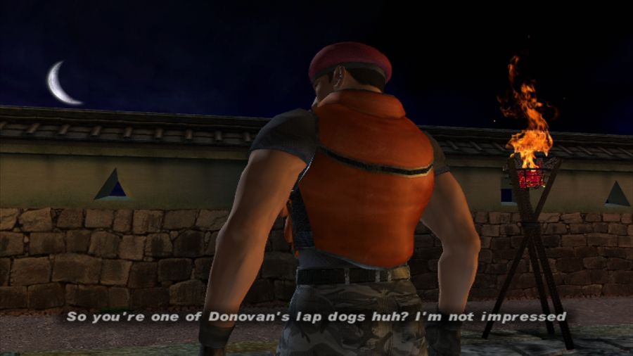 DEAD OR ALIVE 3_1.jpg