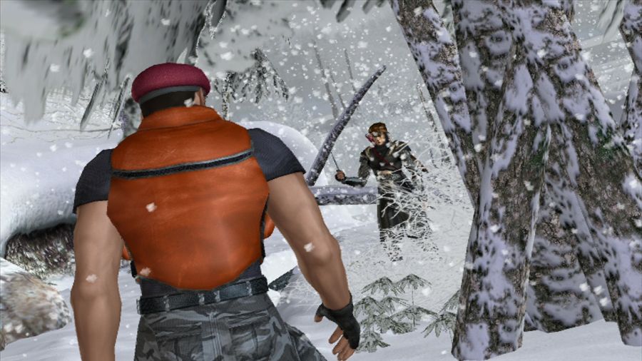 DEAD OR ALIVE 3_20.jpg