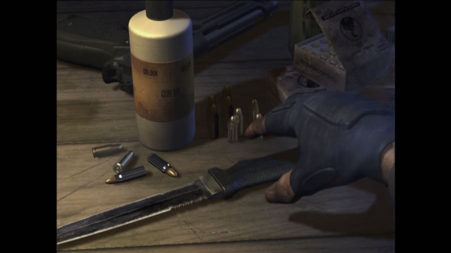 DEAD OR ALIVE 3_38.jpg