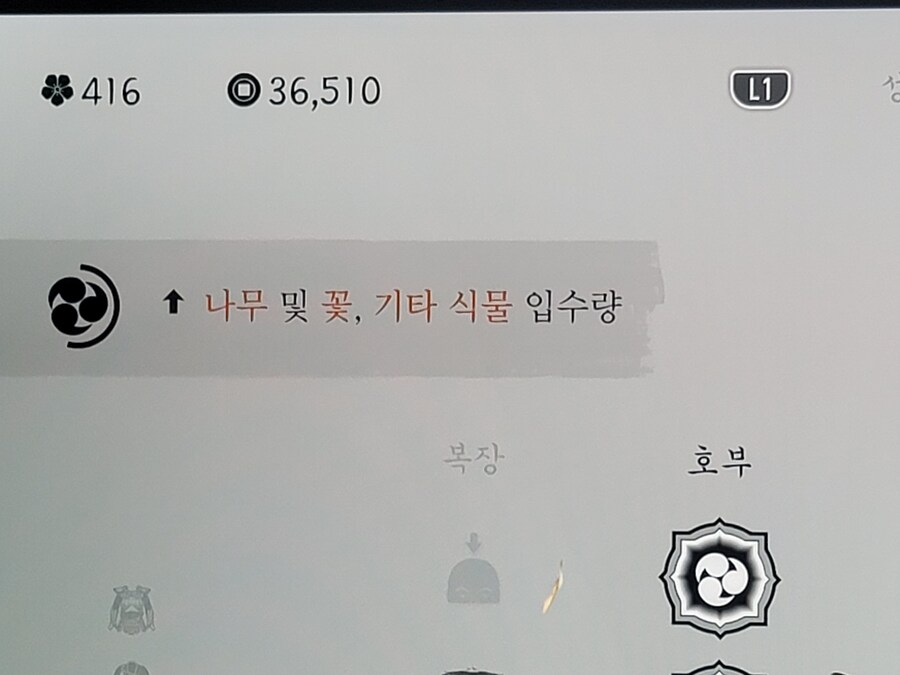 공락)나만 모르던 꽃.대나무.식물등등 노가다 장소._3.jpg
