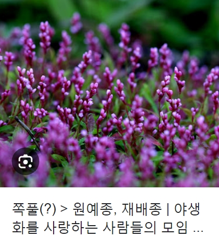 이런걸 바로 "청출어람"이라 하나 보네요_3.jpg