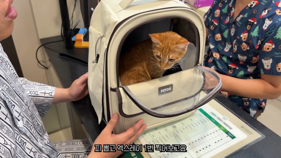 유튜브) 이사람들 의상이 왜 이래?_1.png