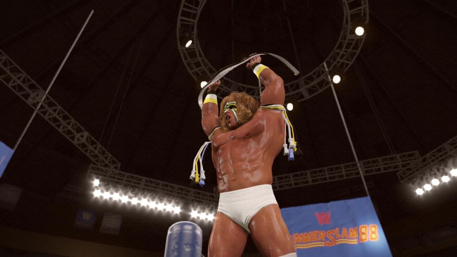 WWE 2K15_17.jpg