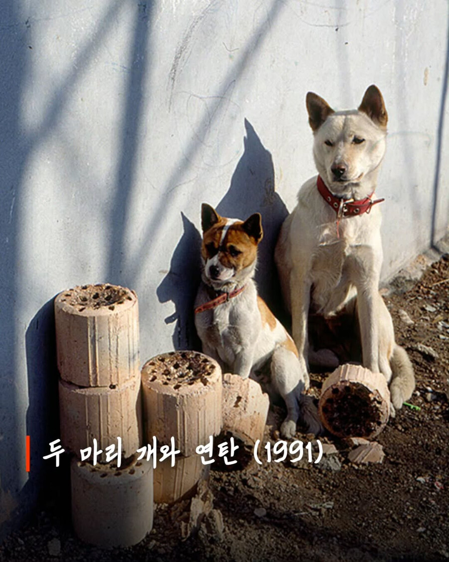 [자료] 1990년대에 찍힌 한국인들의 과거 사진_5.jpg