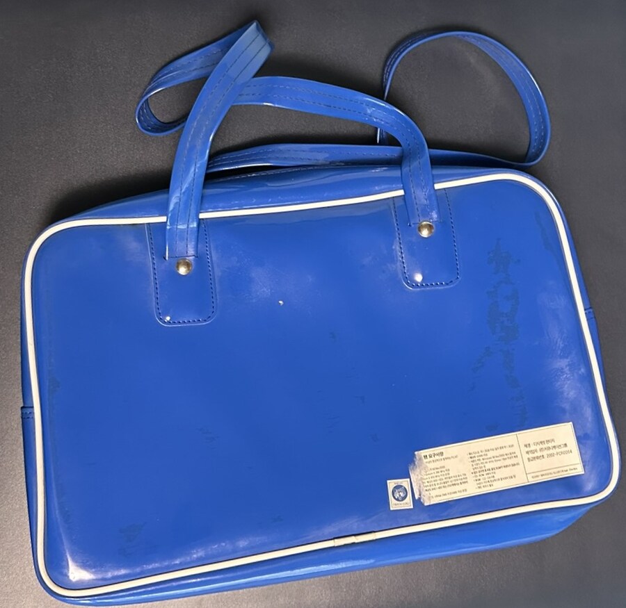 설연휴 집정리하다 찾은 디지캐럿 판타지 한정판_2.jpg