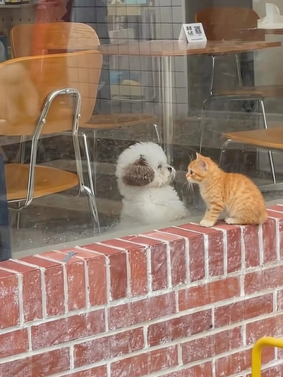 귀여운 친구만들기.jpg_2.jpg