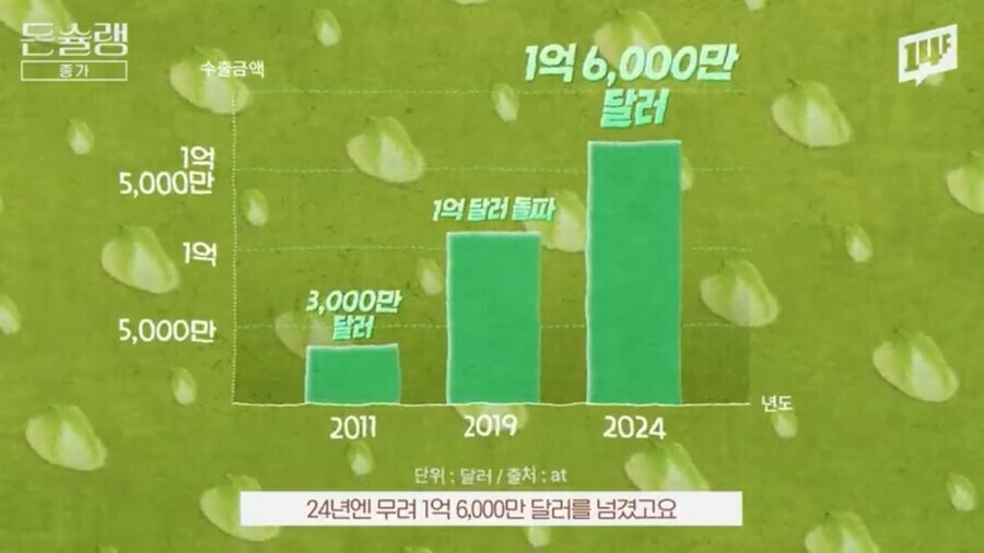 두유 노우 김치가 낳은 효과.jpg_6.jpg