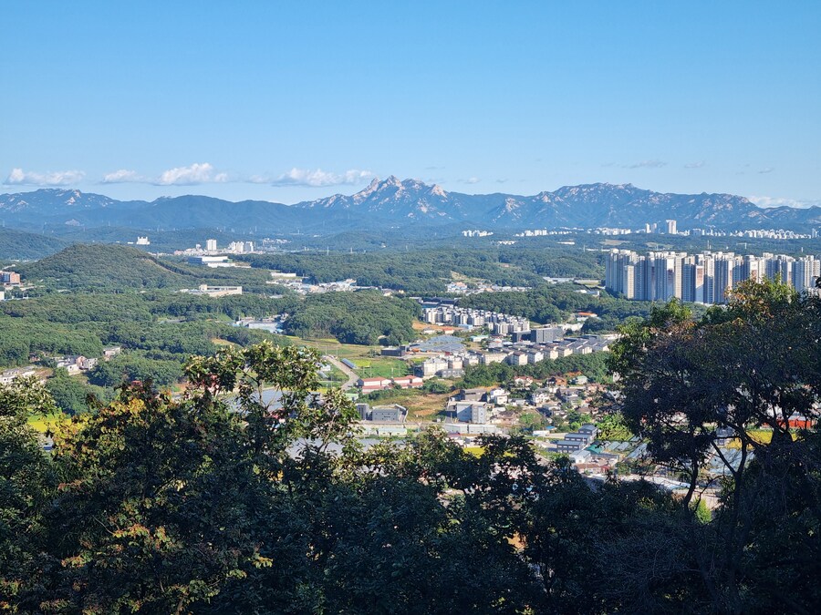 이치란보다는 어죽국수 일산 고봉산-풍산역 사이에 있던 한가어죽_10.jpg