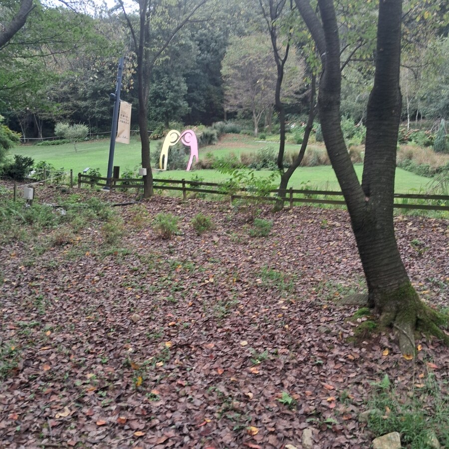 안산 유니스의 정원_4.jpg