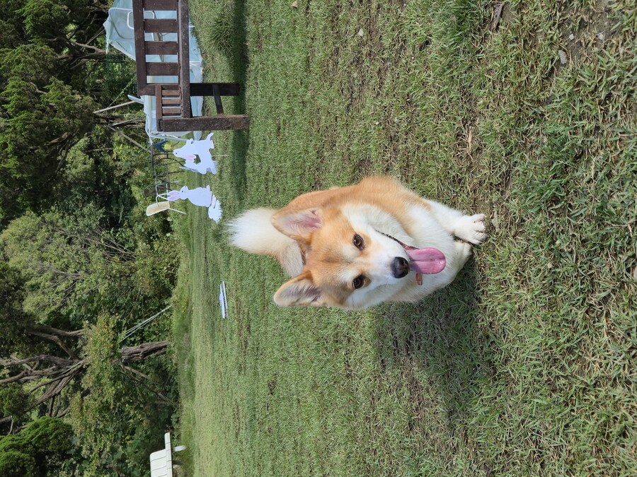 숨막히는 뒤태 미친 비율 ㅗㅜㅑ_3.jpg