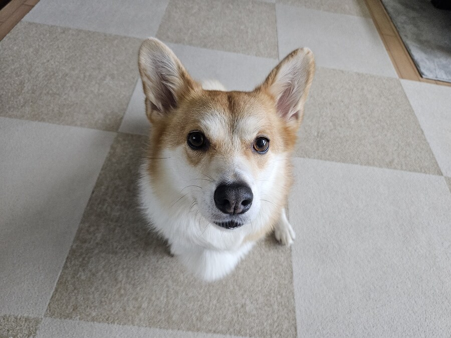 숨막히는 뒤태 미친 비율 ㅗㅜㅑ_8.jpg