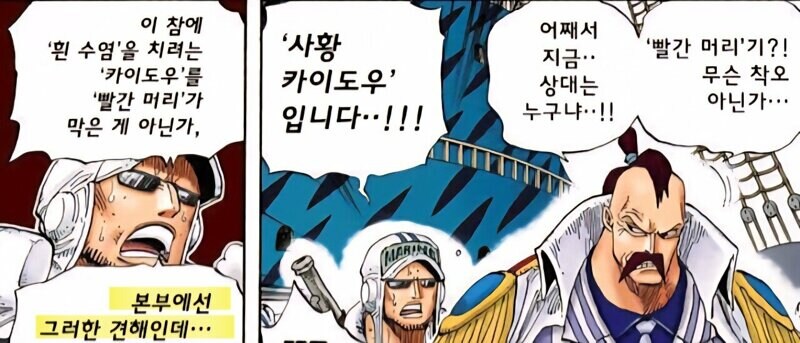 원피스 최근화로 거의 확실시된 것_6.jpg