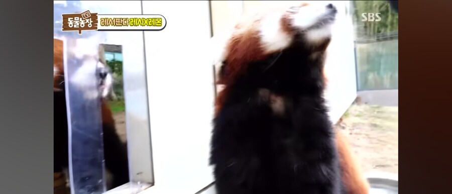살면서 죽기전에 만져보고 싶은동물_3.jpg