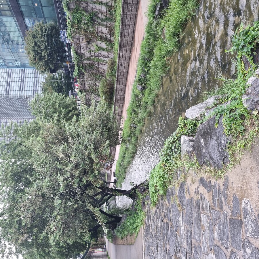 이게 인공 하천 이라는게 믿기질 않는군._1.jpg