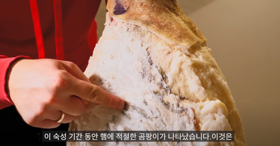 하몽은 비싼 햄이니 집에서 직접 만들어보는 빡빡이 아저씨_26.png