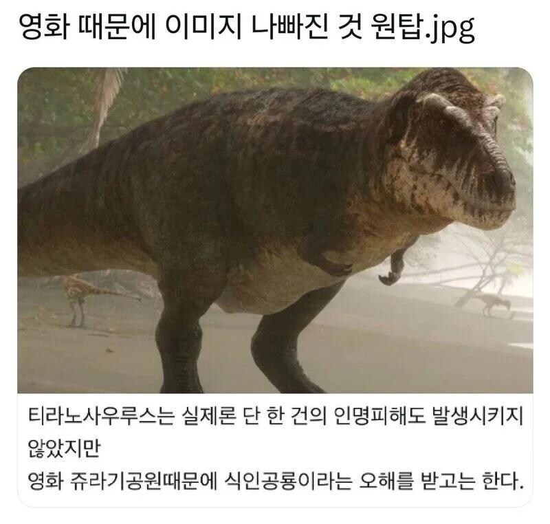영화 때문에 이미지 나빠진 동물_1.jpg