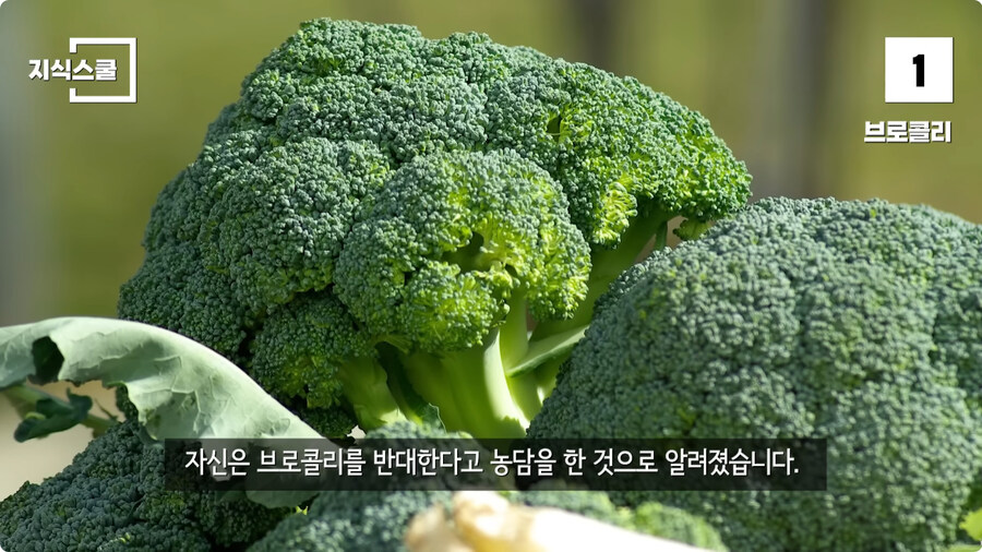 백악관 내부에서만 금지했던 식품 Top 10.jpg_126.jpg