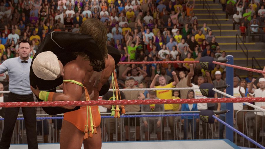 WWE 2K15_24.jpg