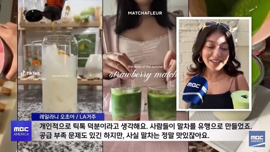 미국 말차 유행 의외의 수혜자_7.jpg
