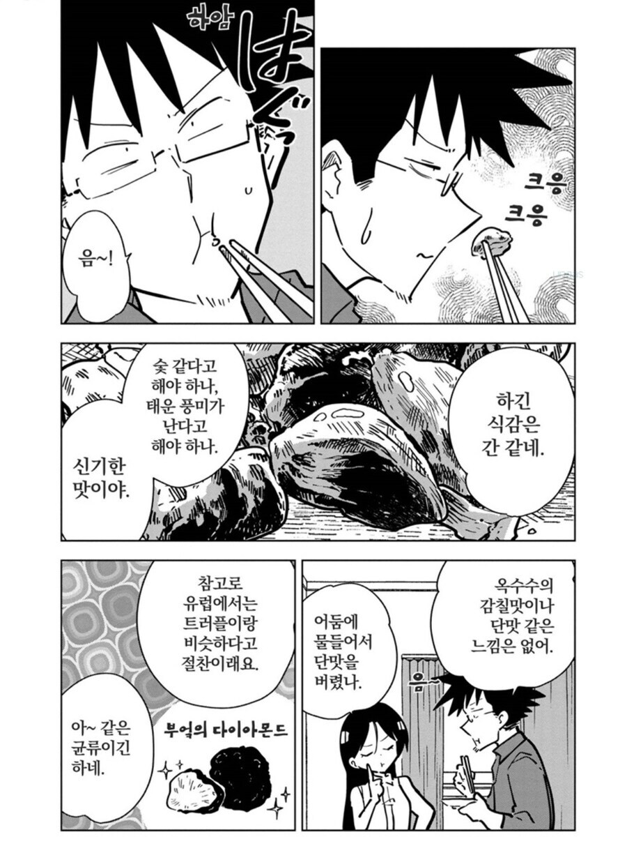 악마의 옥수수 입니다. 먹지마세요._5.jpg