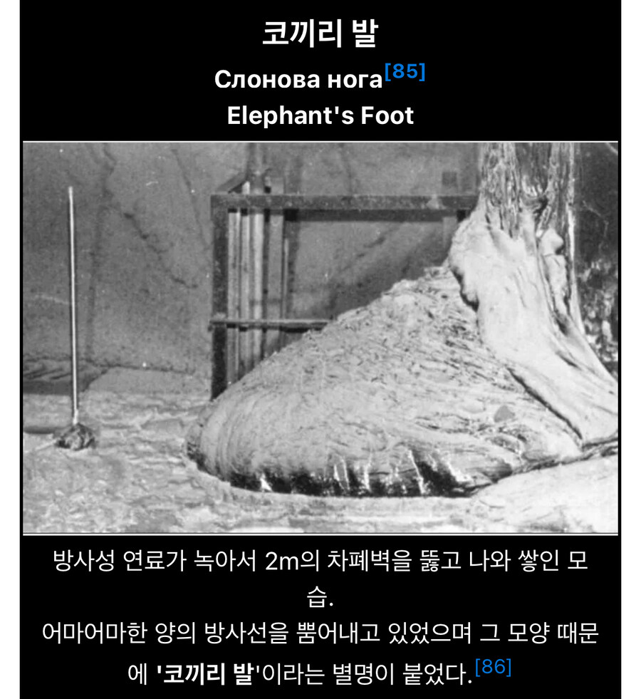 체르노빌 원자력 사고 보는데 진짜 신기한점.jpg_2.jpg